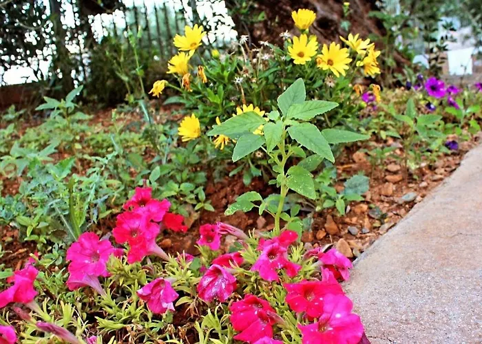 Sunset Luxury Апартаменты *