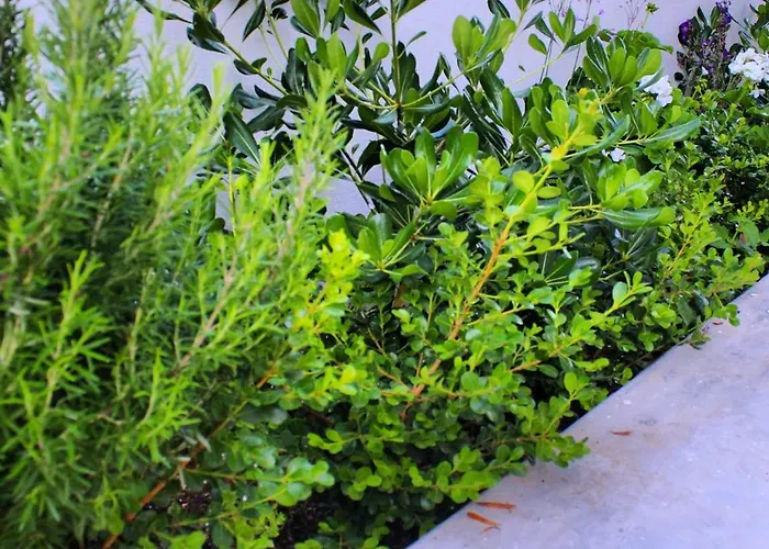 Апартаменты Sunset Luxury Верга-Каламата